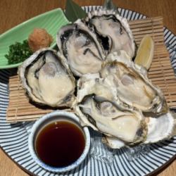【限量】生牡蛎