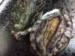 鲜鲍鱼刺身