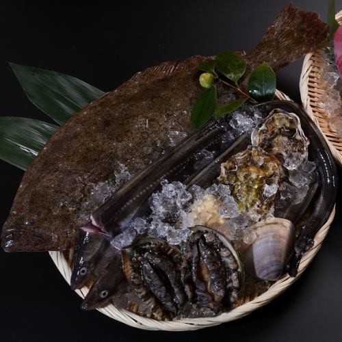 活魚水槽の新鮮活貝・活魚