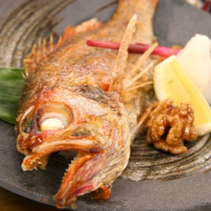 野狗黑懷石料理（共8道菜）8,800日圓 品嚐美味肥美的優質魚類，非常適合觀光用餐和娛樂。