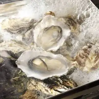 【ガンガン焼きコース】糸島から毎日直送!新鮮な海鮮やお肉等当店自慢の一品を楽む贅沢コース