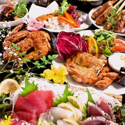 February to April [All-you-can-drink for 3 hours] 5 kinds of sashimi, Nagoya Cochin chicken wings [Luxury Nagoya Cochin course] 9 dishes total, 6,000 yen