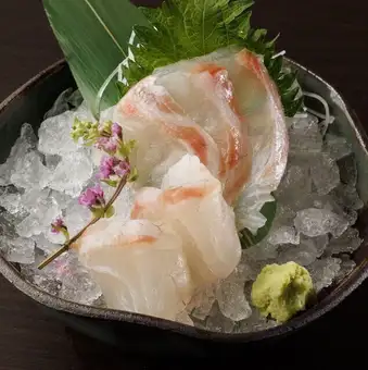 真鯛の刺身