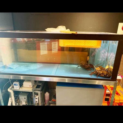 焼肉店なのに大型活魚水槽