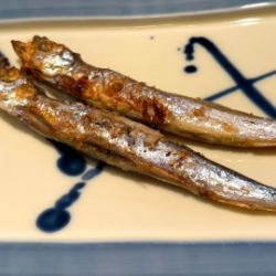 2 Shishamo 与婴儿