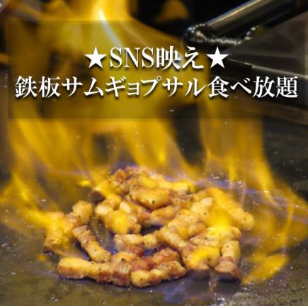 【90分食ベ放題】ランチ限定★サムギョプサル等含む約20種類以上食べ放題2090円
