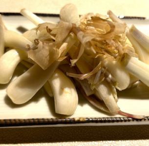 沖縄しまらっきょう/Okinawa Shallot
