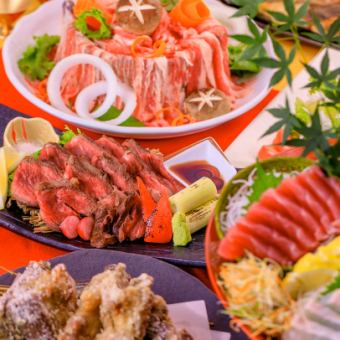 以肉類菜餚為特色的豪華套餐♪[Mirei享受套餐]2小時無限暢飲5,500日元★