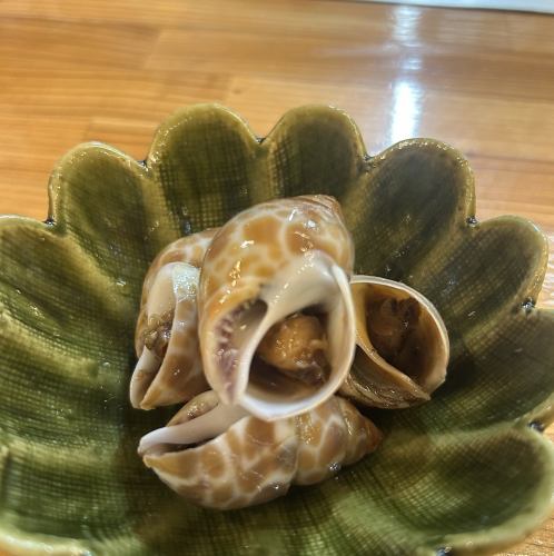 バイ貝