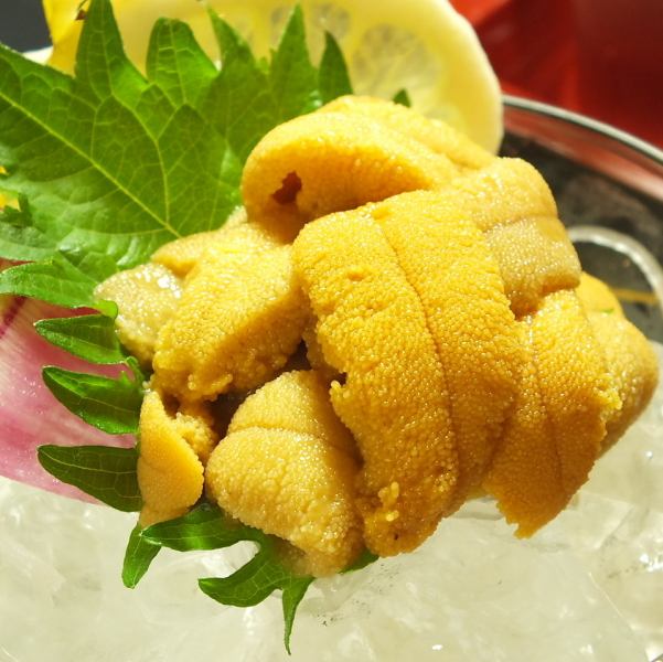 Saltwater sea urchins from Yoichi, Furubira, Shakotan, Otaru, Mikuni, Rishiri and Rebun