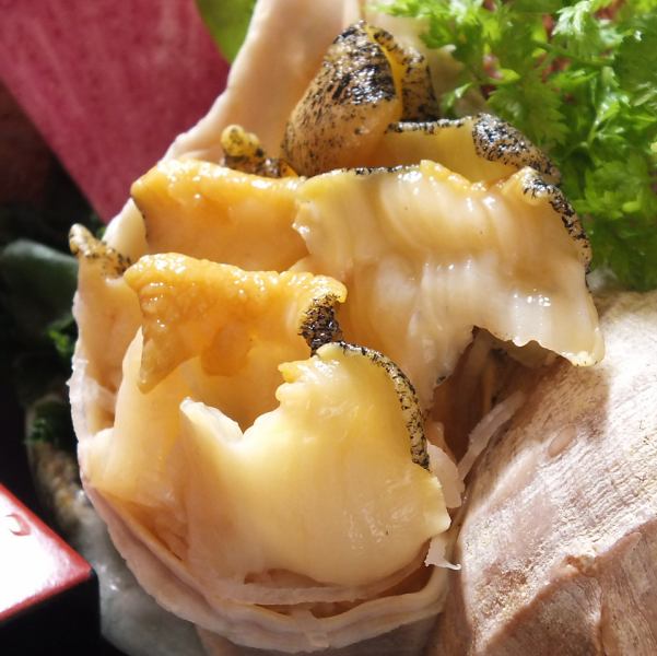 襟裳・日高・浦河産活ツブ刺し