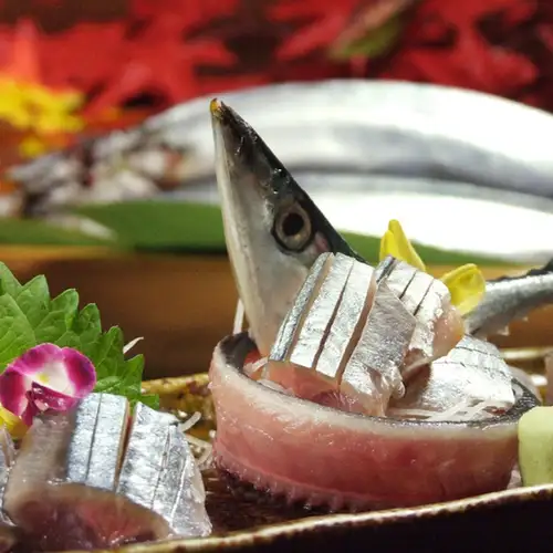 Sashimi and grilled whole Pacific saury from Nemuro