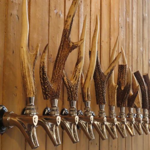 All-you-can-drink craft beer & 3-beer tasting set!