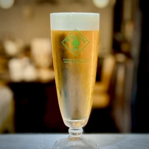 【GREENROOMの単品飲み放題プラン】2500円！
