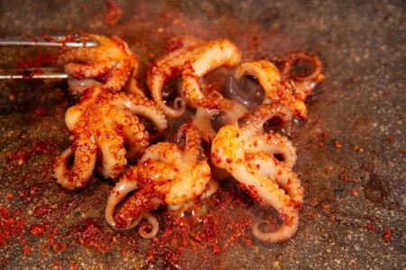 Chukumi (good octopus)