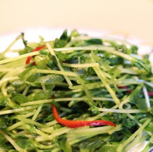 豆苗炒め