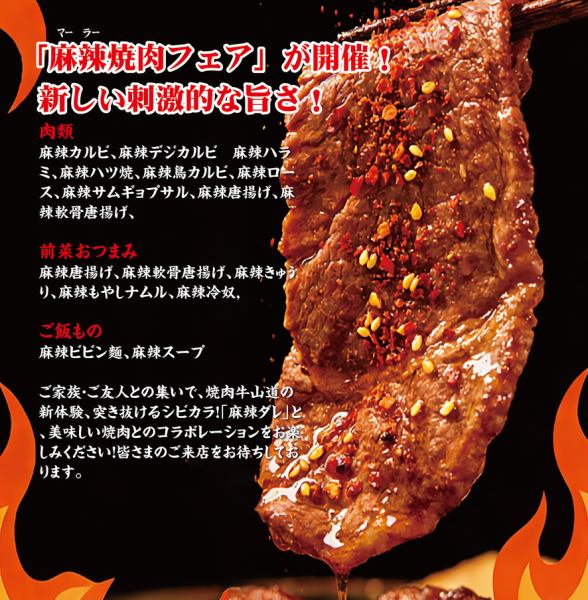 【アラカルトもOK!】肉寿司やA5ランク肉も多く取り揃えております♪デートや接待、女子会にご利用下さい★