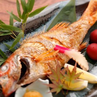 5月最高级的宴会！【蓝鳍金枪鱼、松叶蟹、刀下牛肉、海鳗、牡蛎】8,000日元
