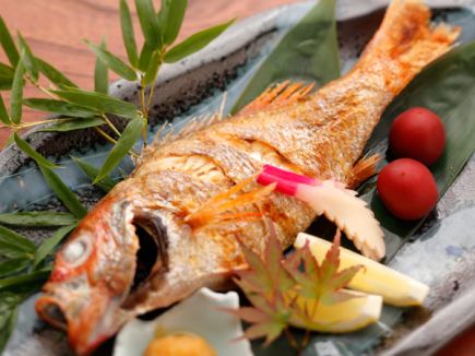 5月最高级的宴会！【蓝鳍金枪鱼、松叶蟹、刀下牛肉、海鳗、牡蛎】8,000日元