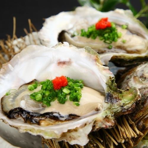 Brand oyster to be eaten throughout the year
