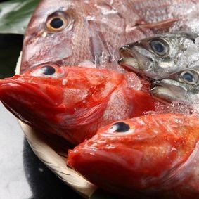 Wild flounder/wild red sea bream/flathead/saury/Yokowa/Yonakigai/Nishigai/Sayori/etc. sashimi