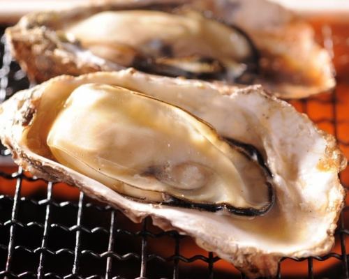 Eat all year round! Etajima brand oyster "Fuyusaki" Toza