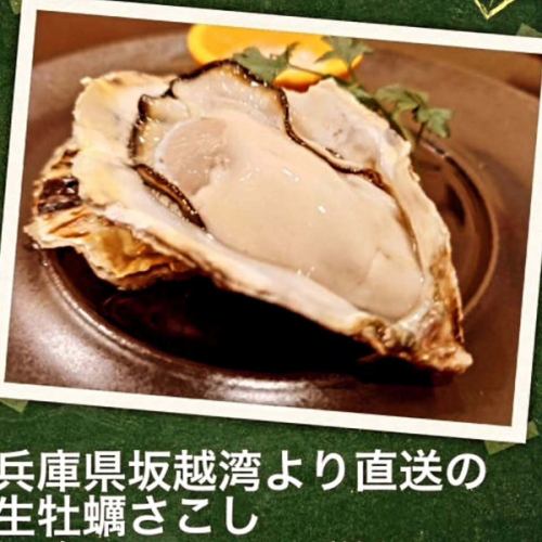 4月26日星期六的晚餐时间已订满。
预计晚上 7:30 左右开放！

今天是赤羽的傻瓜节！
Terra Terra 的美味生牡蛎🦪🦪🦪
强烈推荐！

我们期待今晚在 Terra Terra 见到您！
(´ ▽ `)ﾉ

#西班牙美食
#赤羽美食
#赤羽西班牙俱乐部 Teratera
#生蚝
#牡蛎爱好者
#腌制章鱼