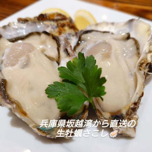4 月 25 日星期五的晚餐仅剩少量座位。

今天也收到了新鲜的牡蛎🦪谢谢！
这些牡蛎现在又肥美又美味！
送给牡蛎爱好者❗

浦和店正在慢慢成型！
我很期待！
我们目前正在招募开业工作人员。

我们期待今晚在 Terra Terra 见到您！
(´ ▽ `)ﾉ

#西班牙美食
#赤羽西班牙俱乐部 Teratera
#赤羽美食
#生蚝
#牡蛎爱好者
#坂越
#新店
#招聘开业员工