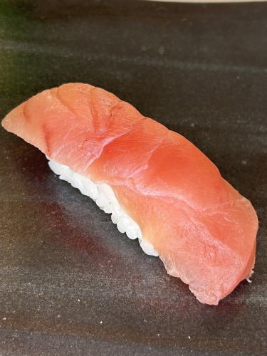 本鮪中トロ