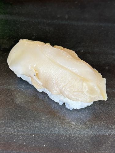 ツブ貝