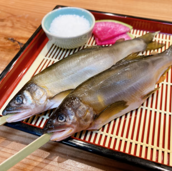 鮎　1尾