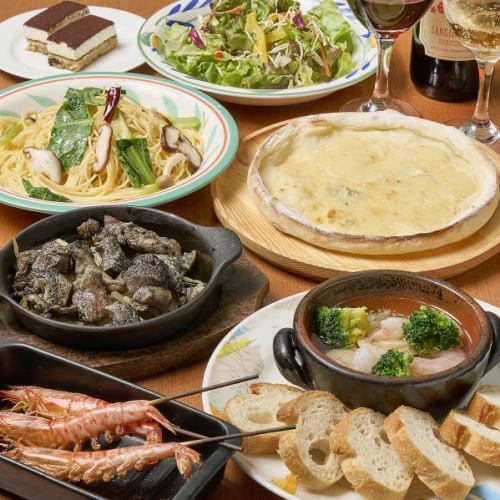【飲み放題付きでお得♪】お料理充実のコース料理3,000円から