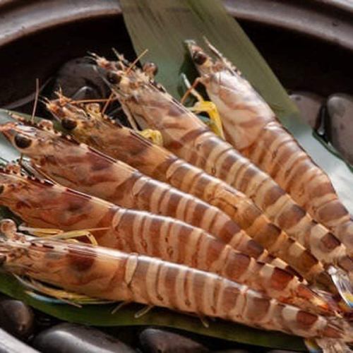 活きのいい車エビを贅沢に付き出しで