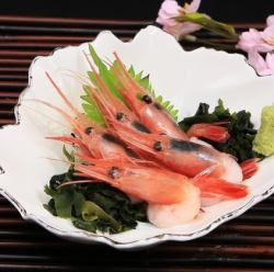 Sweet shrimp sashimi