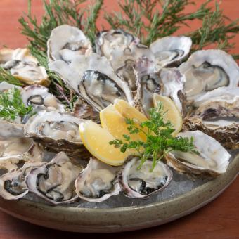 【牡蠣づくしコース】大粒カキフライ＆牡蠣雑炊！至福の牡蠣づくしプラン＜全7品＞10000円(税込)