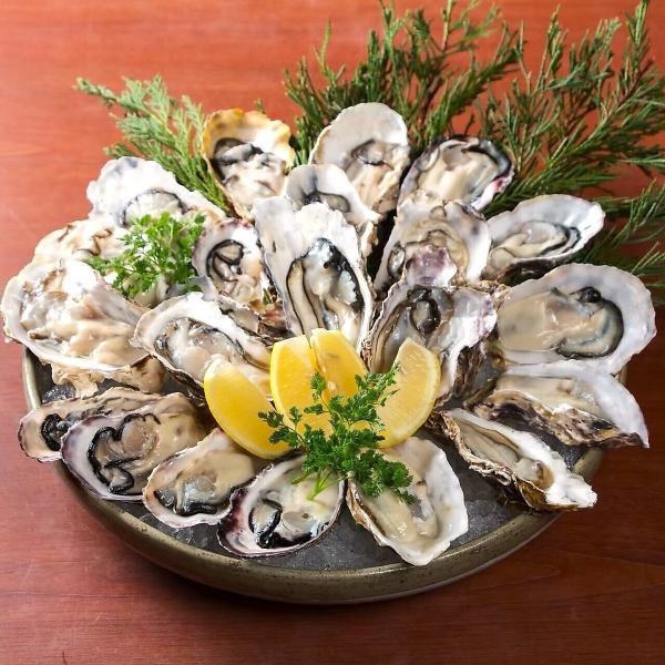 おまかせ生牡蠣の盛り合わせ　4ピース