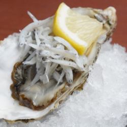 牡蠣としらす＆オリーブオイルレモン