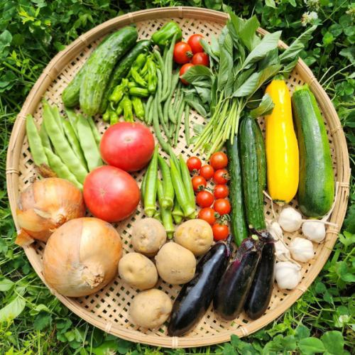 十勝直送！農園野菜が美味