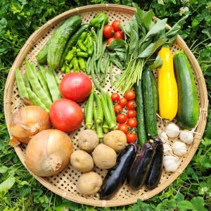 直接从北海道十胜市的无双农场发货！！