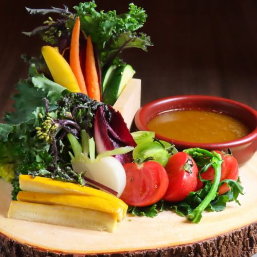 農園直送！旬野菜のバーニャカウダ