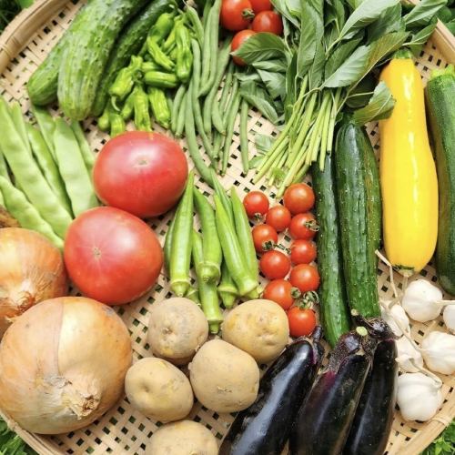 北海道十勝から農園直送の新鮮な野菜をシンプルな技法で