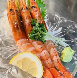 Red shrimp sashimi