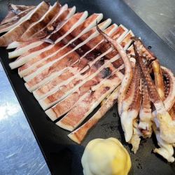 Super big grilled filleted Japanese flying squid