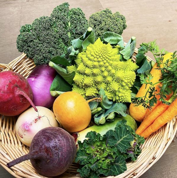 这家餐厅主要供应用精心挑选的、符合时令及产地的蔬菜烹制的菜肴。