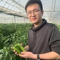 茨城県の契約農家直送の新鮮な無農薬野菜を使用