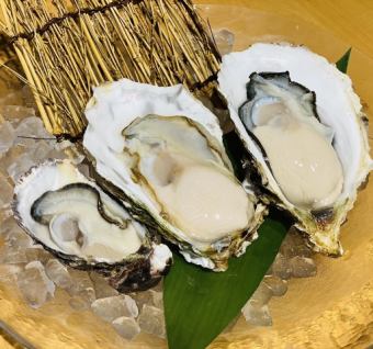 Comparison of three types of raw oysters