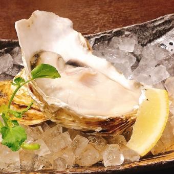 1 raw oyster with shell (for eating raw)