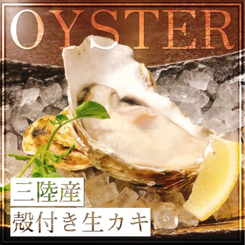 Raw oysters with shell from Sanriku