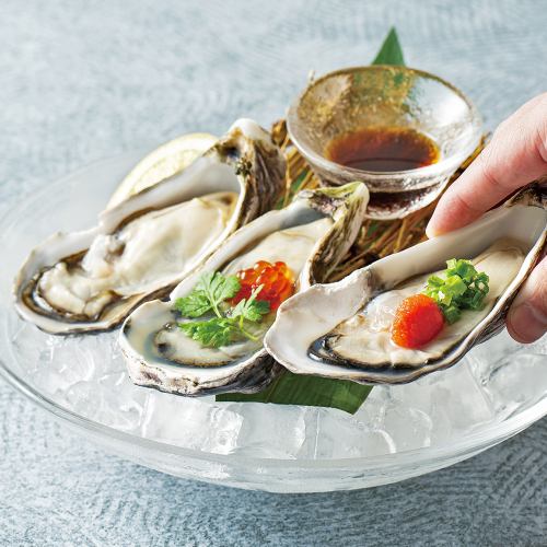 Assortment of 3 kinds of live-caught oysters from New Zealand