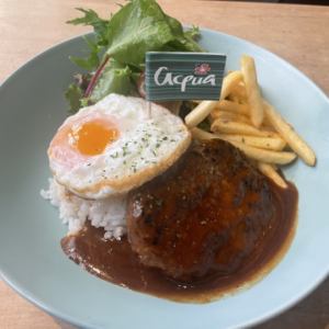 aquaロコモコプレート